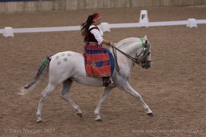 Lusitano Breed Society of Great Britain Show - Hartpury College - 27th June 2009